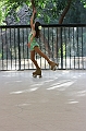 Chiara (9)